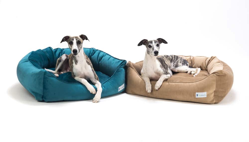 Product Photography of two dog beds