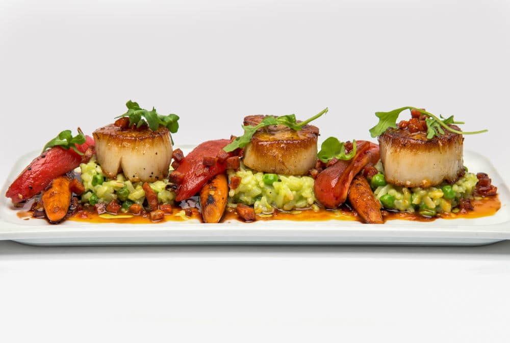 Food Photography of delicious scallop